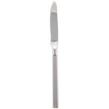 کارد میوه خوری صنایع استیل ایران مدل پاشا 2 براق Sanaye Steel Iran Pasha 2 Mirror Polished Fruit Knife